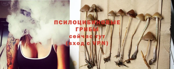 прущий лед Алзамай
