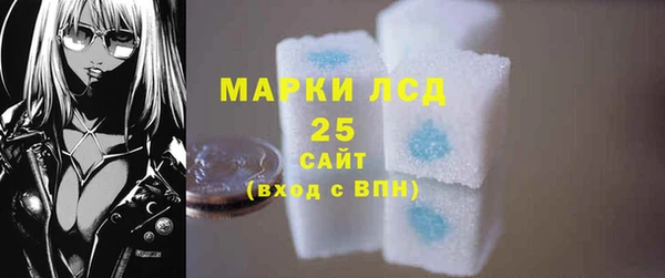 прущий лед Алзамай