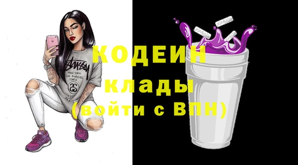 прущий лед Алзамай