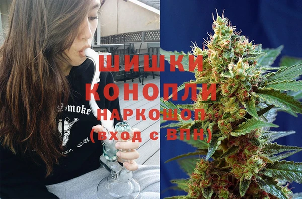 прущий лед Алзамай