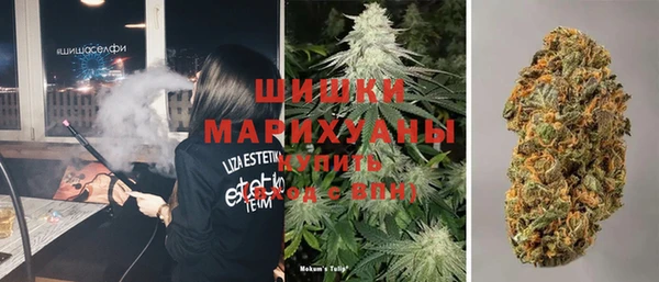 прущий лед Алзамай
