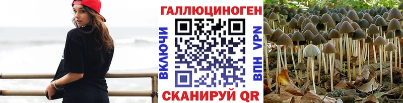 Псилоцибиновые грибы Cubensis  Порхов 